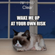 Illustration for article titled The Grumpy Cat Weather App Wont Sugar Coat Things For You